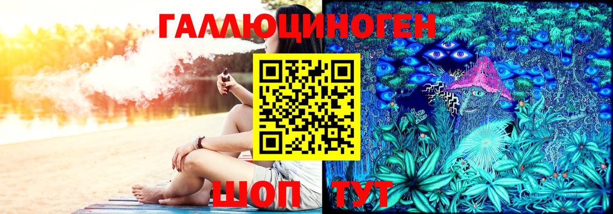 Галлюциногенные грибы Psilocybe Сургут