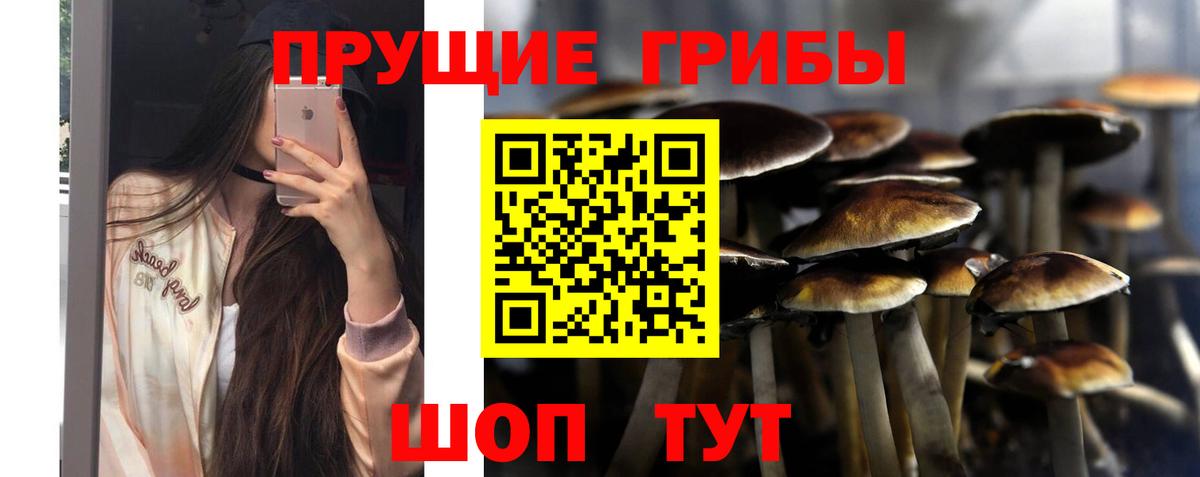 Псилоцибиновые грибы ЛСД  Вход с VPN  Сургут  Галлюциногенные грибы MAGIC MUSHROOMS 